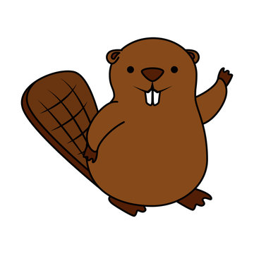 beaver